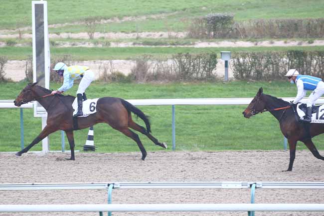 Photo d'arrivée de la course pmu PRIX DU BESSIN à DEAUVILLE le Lundi 30 novembre 2020