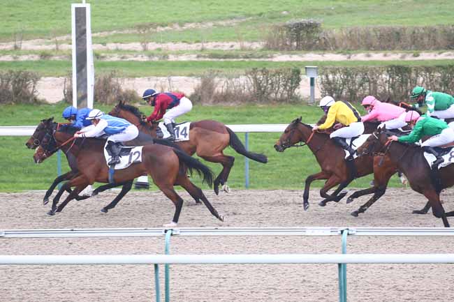 Photo d'arrivée de la course pmu PRIX DU BESSIN à DEAUVILLE le Lundi 30 novembre 2020