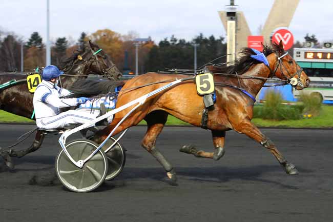 Photo d'arrivée de la course pmu PRIX DE SAINT-GEORGES DE DIDONNE à PARIS-VINCENNES le Samedi 5 décembre 2020