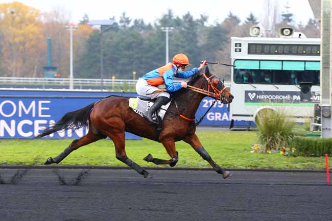 Photo d'arrivée de la course pmu PRIX PHILIPPE DU ROZIER à PARIS-VINCENNES le Lundi 7 décembre 2020