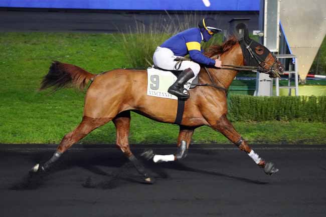 Photo d'arrivée de la course pmu PRIX DE BRICQUEBEC à PARIS-VINCENNES le Lundi 7 décembre 2020