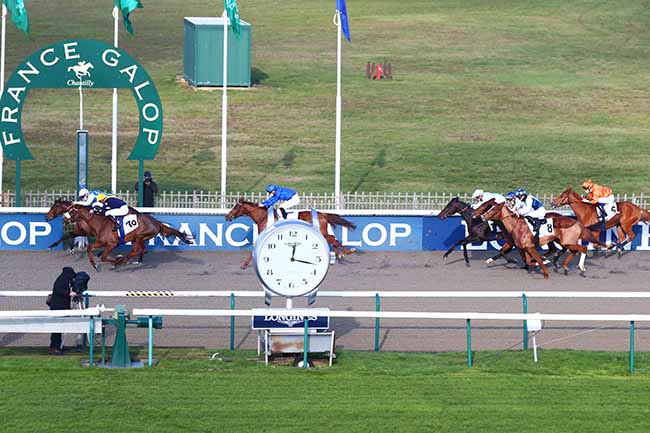 Photo d'arrivée de la course pmu PRIX DE LA PISTE SEA BIRD à CHANTILLY le Mardi 8 décembre 2020