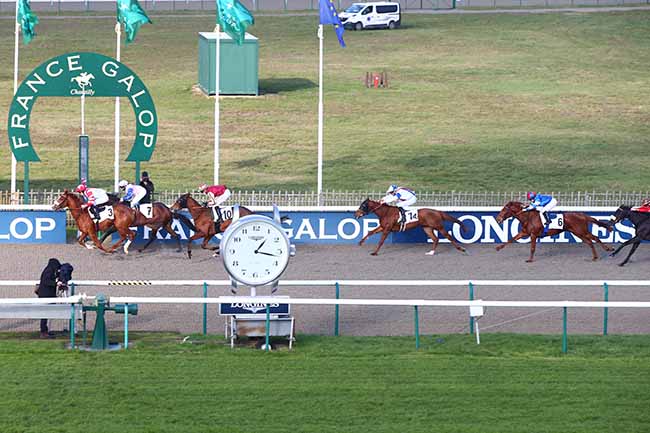 Photo d'arrivée de la course pmu PRIX DU CARREFOUR DES MARCHANDS DE NAVETS à CHANTILLY le Mardi 8 décembre 2020