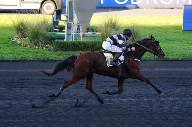 Photo d'arrivée de la course pmu PRIX D'HONFLEUR à PARIS-VINCENNES le Jeudi 10 décembre 2020