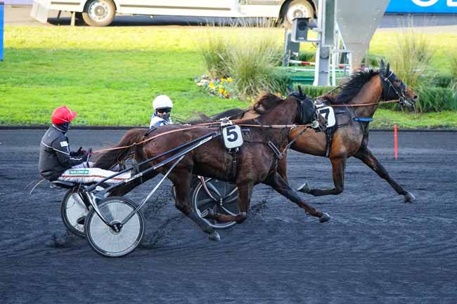 Photo d'arrivée de la course pmu PRIX DE LA DROME à PARIS-VINCENNES le Jeudi 10 décembre 2020