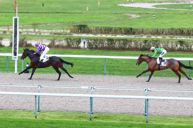 Photo d'arrivée de la course pmu PRIX DE KILDARE à DEAUVILLE le Vendredi 11 décembre 2020