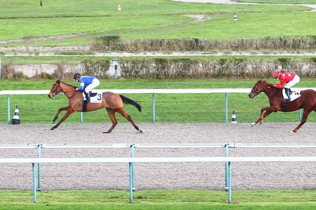 Photo d'arrivée de la course pmu PRIX DE LEXINGTON à DEAUVILLE le Vendredi 11 décembre 2020