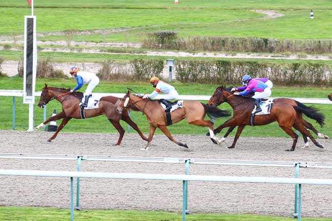 Photo d'arrivée de la course pmu PRIX DU VEXIN NORMAND à DEAUVILLE le Vendredi 11 décembre 2020