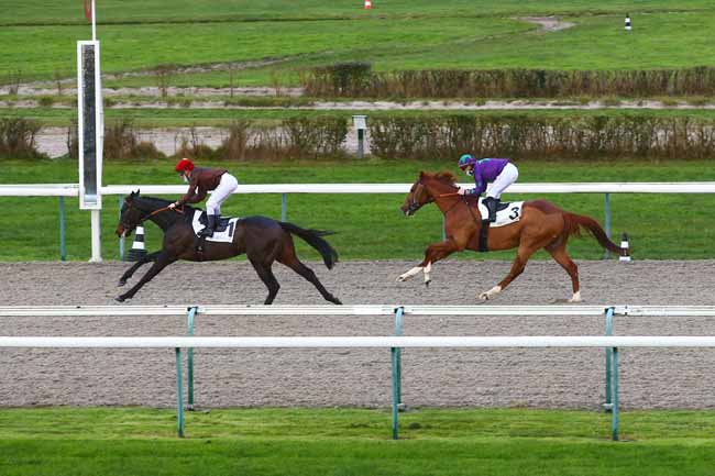 Photo d'arrivée de la course pmu PRIX DES PERRETS à DEAUVILLE le Vendredi 11 décembre 2020