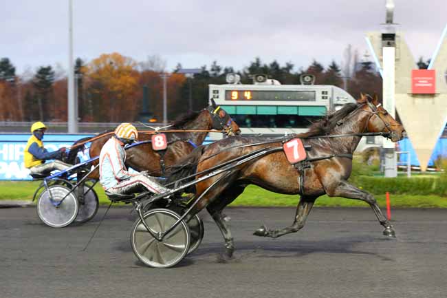 Photo d'arrivée de la course pmu PRIX NARQUOIS à PARIS-VINCENNES le Samedi 12 décembre 2020