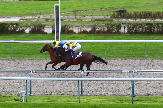 Photo d'arrivée de la course pmu PRIX DE COQUINVILLIERS à DEAUVILLE le Samedi 12 décembre 2020
