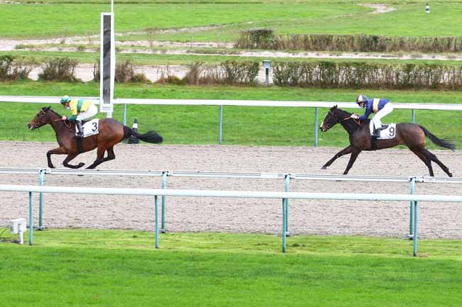 Photo d'arrivée de la course pmu PRIX DU GRAND CHESNAY à DEAUVILLE le Samedi 12 décembre 2020