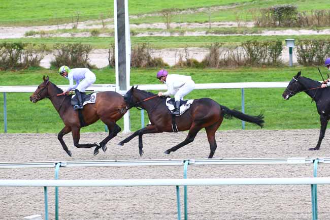 Photo d'arrivée de la course pmu PRIX DE LA GAGNERIE à DEAUVILLE le Samedi 12 décembre 2020