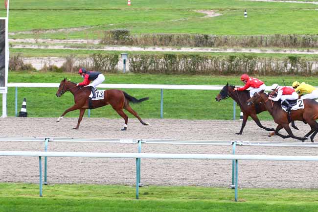 Photo d'arrivée de la course pmu PRIX DE CHEFFRETEAU à DEAUVILLE le Samedi 12 décembre 2020