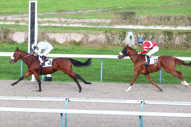 Photo d'arrivée de la course pmu PRIX DE PRECOLETTE à DEAUVILLE le Samedi 12 décembre 2020
