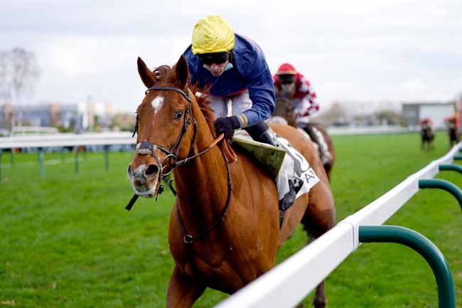 Photo d'arrivée de la course pmu PRIX D'AURIAC à PAU le Mardi 15 décembre 2020