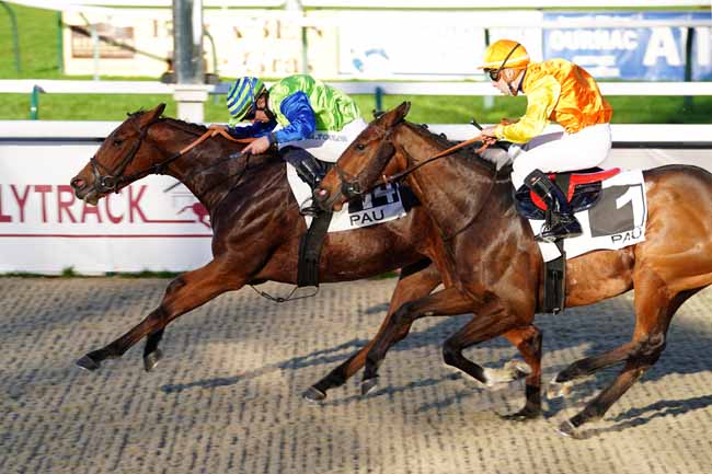 Photo d'arrivée de la course pmu PRIX DE LIMENDOUS à PAU le Mardi 15 décembre 2020