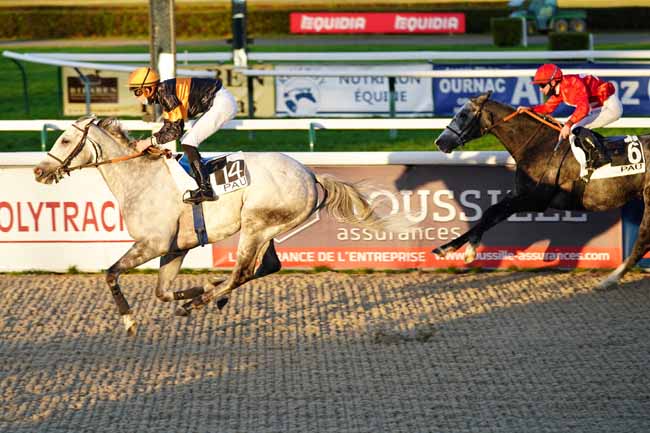 Photo d'arrivée de la course pmu PRIX DE L'ASSOCIATION DES PROPRIETAIRES DU SUD-OUEST à PAU le Mardi 15 décembre 2020