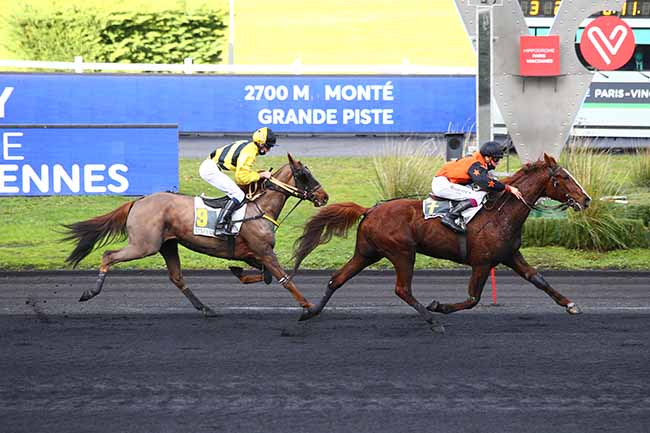 Photo d'arrivée de la course pmu PRIX DE VILLEROY à PARIS-VINCENNES le Mardi 15 décembre 2020