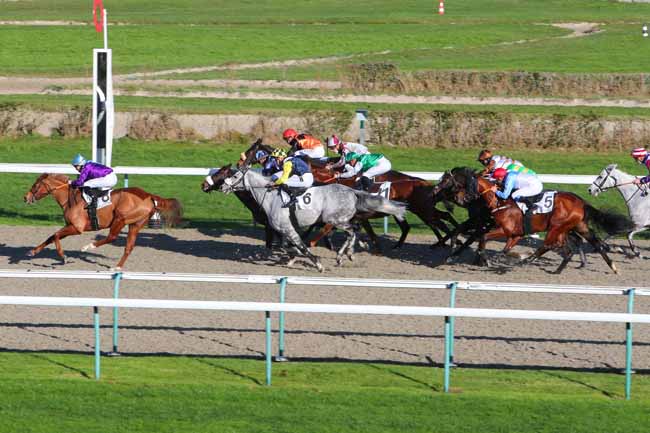 Photo d'arrivée de la course pmu PRIX DE SAINTE MARIE-DU-MONT à DEAUVILLE le Jeudi 17 décembre 2020