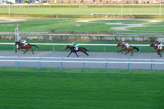 Photo d'arrivée de la course pmu PRIX DE MIRANDE à DEAUVILLE le Jeudi 17 décembre 2020