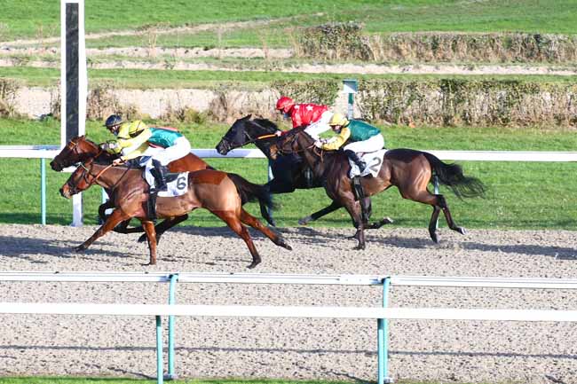 Photo d'arrivée de la course pmu PRIX PORLEZZA à DEAUVILLE le Samedi 19 décembre 2020