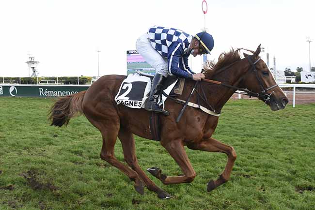 Photo d'arrivée de la course pmu PRIX JEAN-YVES BEAURAIN à CAGNES-SUR-MER le Mercredi 23 décembre 2020