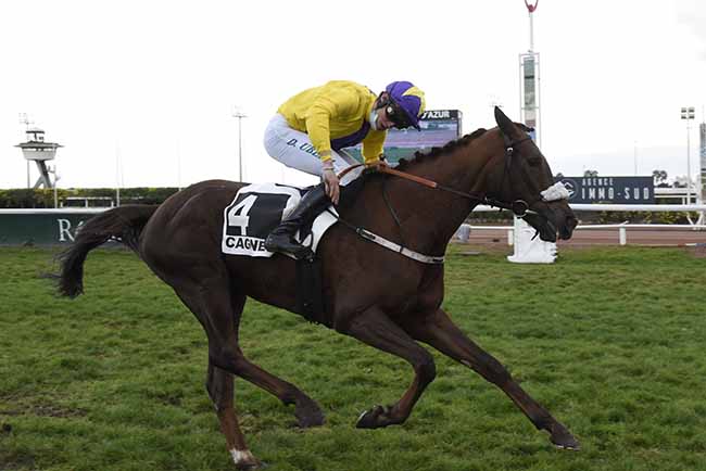 Photo d'arrivée de la course pmu PRIX DU BREIL à CAGNES-SUR-MER le Mercredi 23 décembre 2020