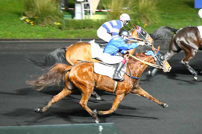 Photo d'arrivée de la course pmu PRIX DE MIREVAL à PARIS-VINCENNES le Samedi 26 décembre 2020