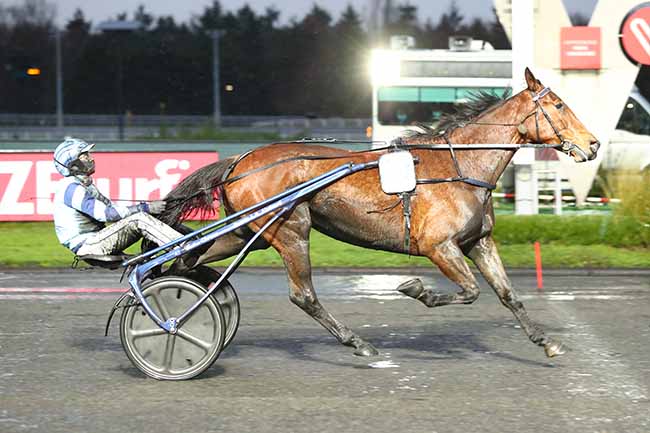 Photo d'arrivée de la course pmu PRIX TENOR DE BAUNE à PARIS-VINCENNES le Dimanche 27 décembre 2020