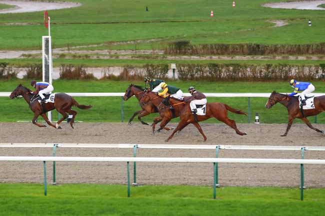 Photo d'arrivée de la course pmu PRIX DE VOLTAIRE à DEAUVILLE le Dimanche 27 décembre 2020