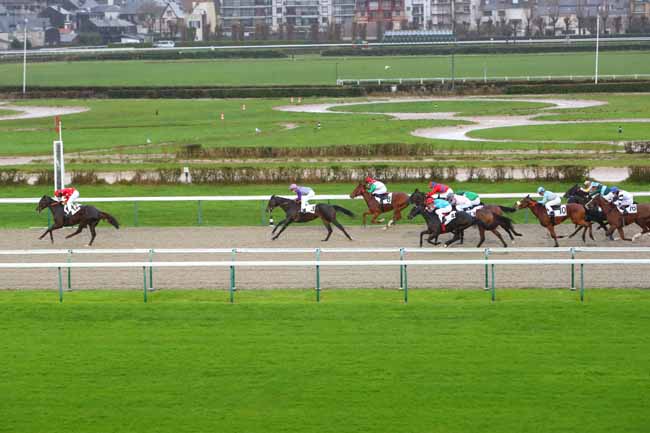 Photo d'arrivée de la course pmu PRIX DE ROIVILLE à DEAUVILLE le Dimanche 27 décembre 2020