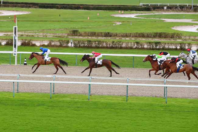 Photo d'arrivée de la course pmu PRIX DU MASSIF ARMORICAIN à DEAUVILLE le Dimanche 27 décembre 2020