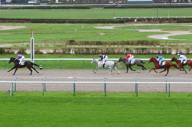 Photo d'arrivée de la course pmu PRIX HELEN STREET à DEAUVILLE le Lundi 28 décembre 2020