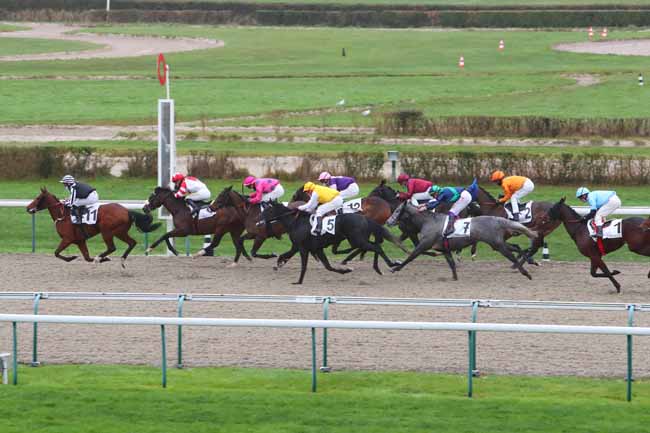 Photo d'arrivée de la course pmu PRIX DE LA PIERRE AUX FEES à DEAUVILLE le Lundi 28 décembre 2020