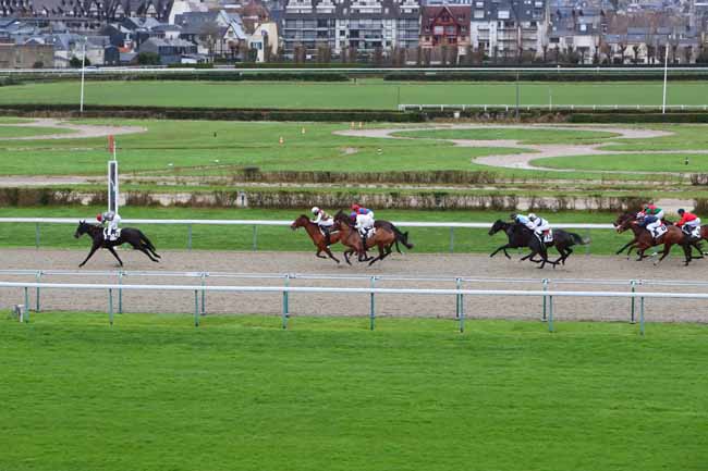 Photo d'arrivée de la course pmu PRIX DE BAVENT à DEAUVILLE le Lundi 28 décembre 2020