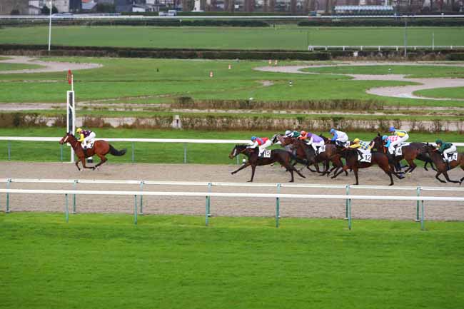 Photo d'arrivée de la course pmu PRIX DE MANNEVILLE à DEAUVILLE le Lundi 28 décembre 2020