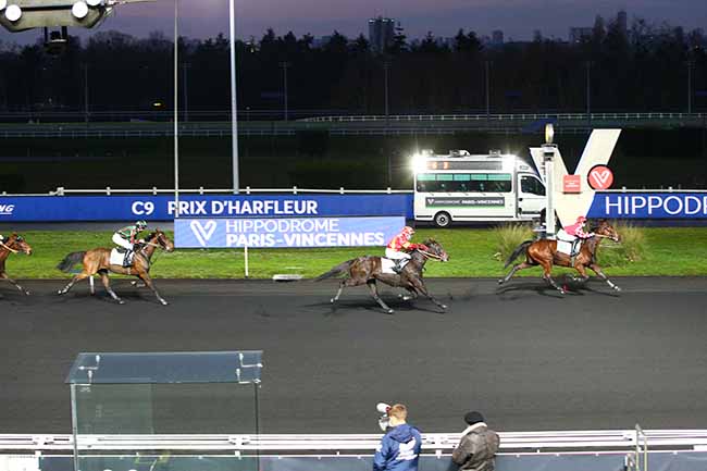 Photo d'arrivée de la course pmu PRIX D'HARFLEUR à PARIS-VINCENNES le Jeudi 31 décembre 2020