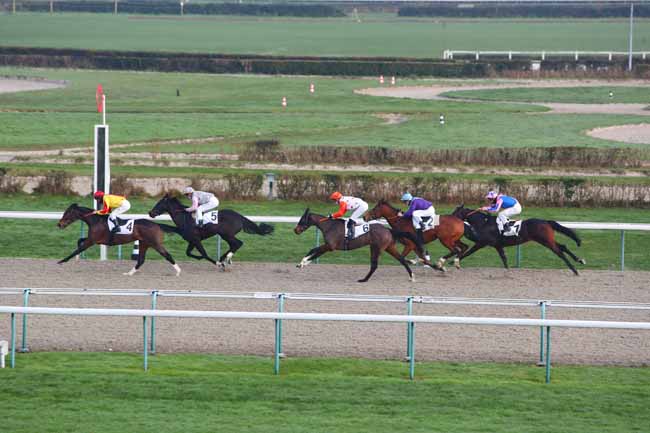 Photo d'arrivée de la course pmu PRIX DE RABODANGES à DEAUVILLE le Samedi 2 janvier 2021