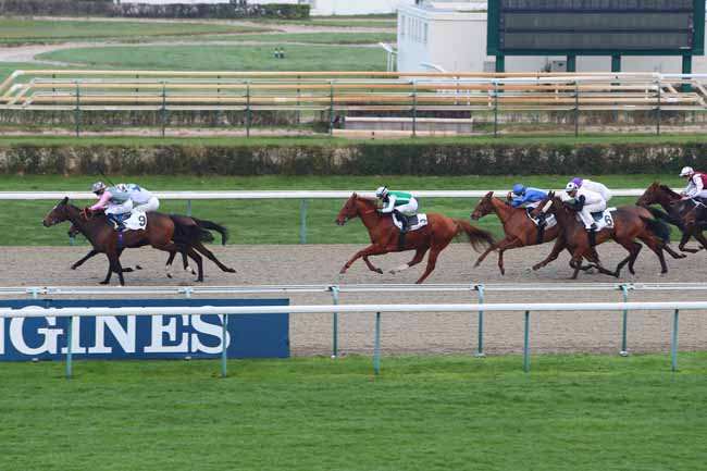 Photo d'arrivée de la course pmu PRIX DE BONNERIE à DEAUVILLE le Samedi 2 janvier 2021
