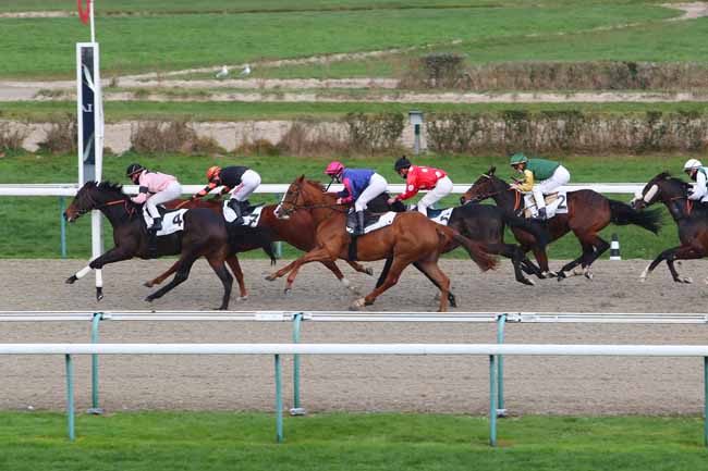 Photo d'arrivée de la course pmu PRIX DE RYES à DEAUVILLE le Samedi 2 janvier 2021