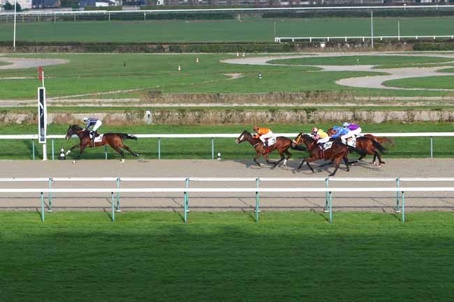 Photo d'arrivée de la course pmu PRIX DE LA BARBOTIERE à DEAUVILLE le Samedi 2 janvier 2021