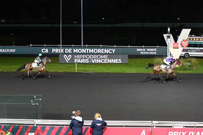 Photo d'arrivée de la course pmu PRIX DE MONTMORENCY à PARIS-VINCENNES le Dimanche 3 janvier 2021