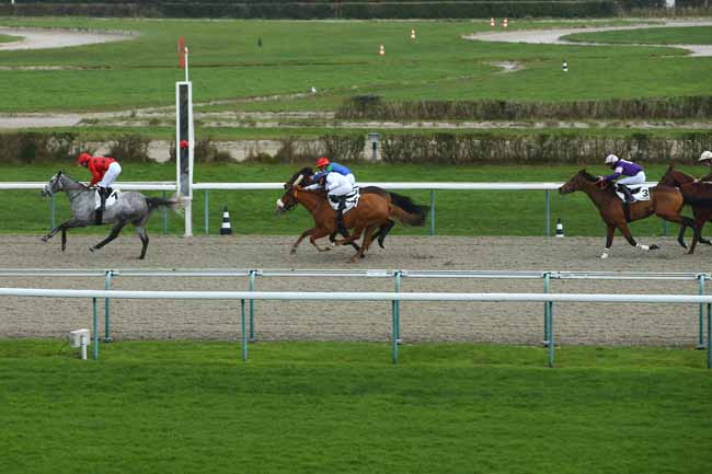 Photo d'arrivée de la course pmu PRIX DE SAINT-ROCH à DEAUVILLE le Dimanche 3 janvier 2021