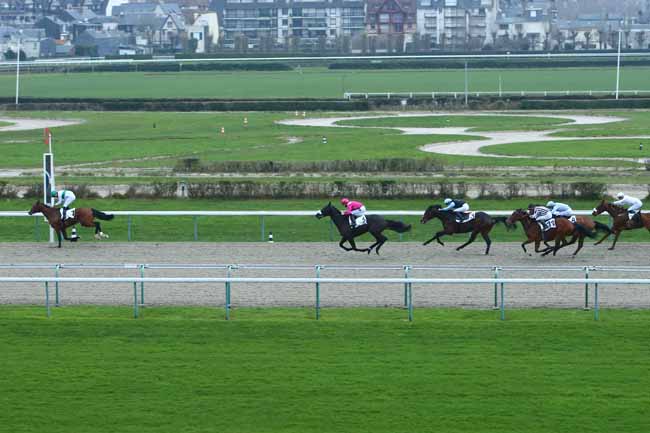 Photo d'arrivée de la course pmu PRIX DE LA BEAUVOISINIERE à DEAUVILLE le Dimanche 3 janvier 2021
