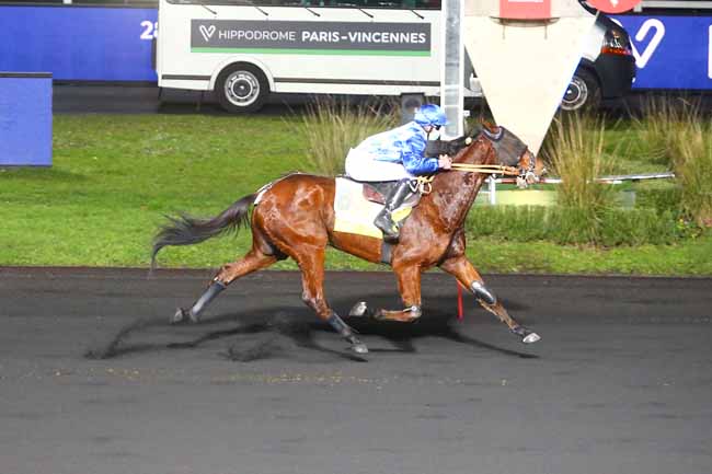 Photo d'arrivée de la course pmu PRIX DE NORT-SUR-ERDRE à PARIS-VINCENNES le Lundi 4 janvier 2021