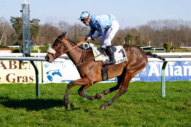 Photo d'arrivée de la course pmu PRIX D'OLORON à PAU le Mercredi 6 janvier 2021