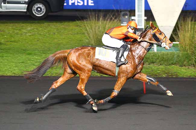 Photo d'arrivée de la course pmu PRIX DE PEZENAS à PARIS-VINCENNES le Mercredi 6 janvier 2021