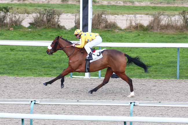 Photo d'arrivée de la course pmu PRIX CARO à DEAUVILLE le Vendredi 8 janvier 2021