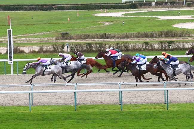 Photo d'arrivée de la course pmu PRIX DU PAYS D'OUCHE à DEAUVILLE le Vendredi 8 janvier 2021